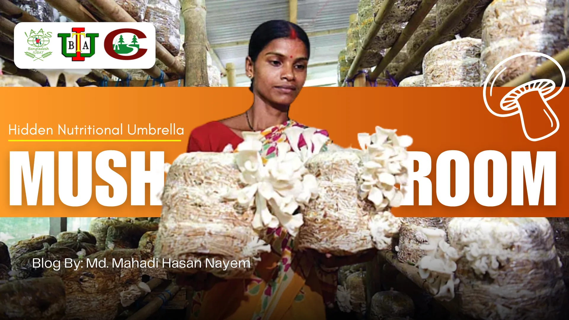 Mushroom: The Hidden Nutritional Umbrella
