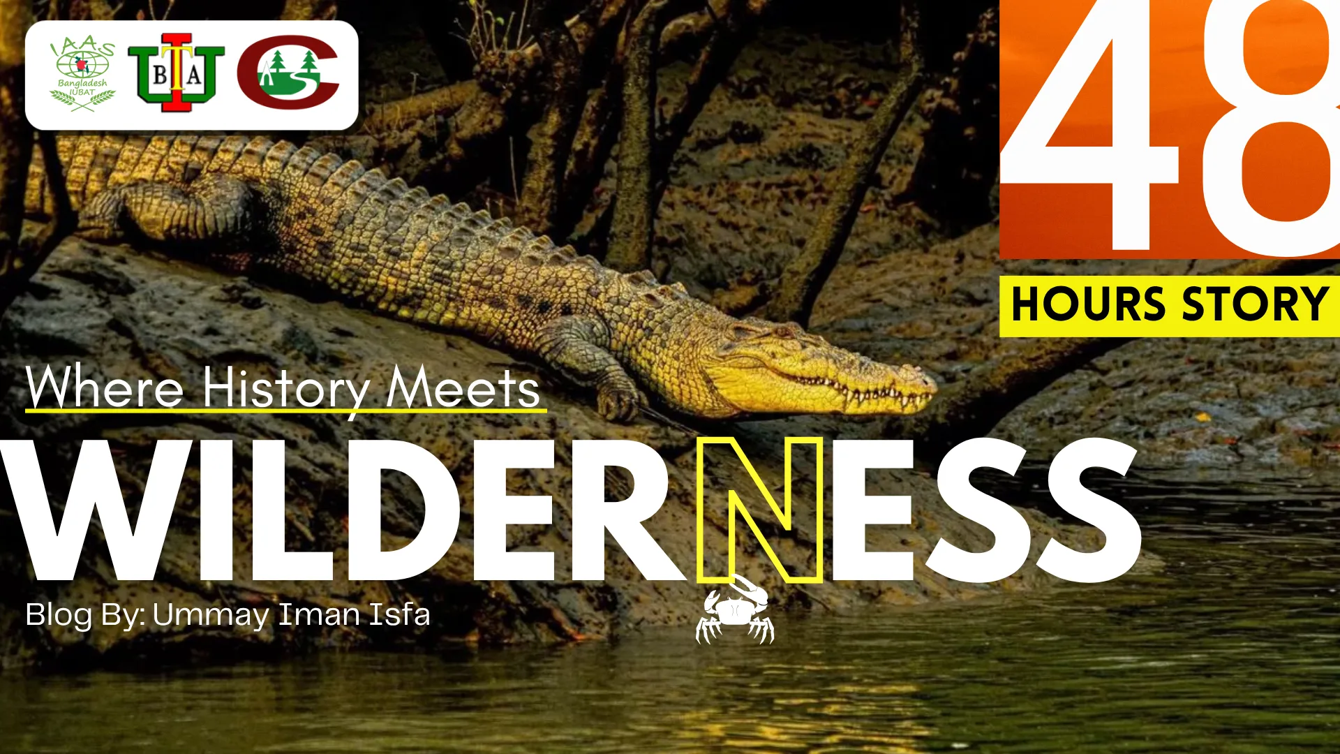 Where History Meets Wilderness: Bagerhat to Karamjol in 48 Hours