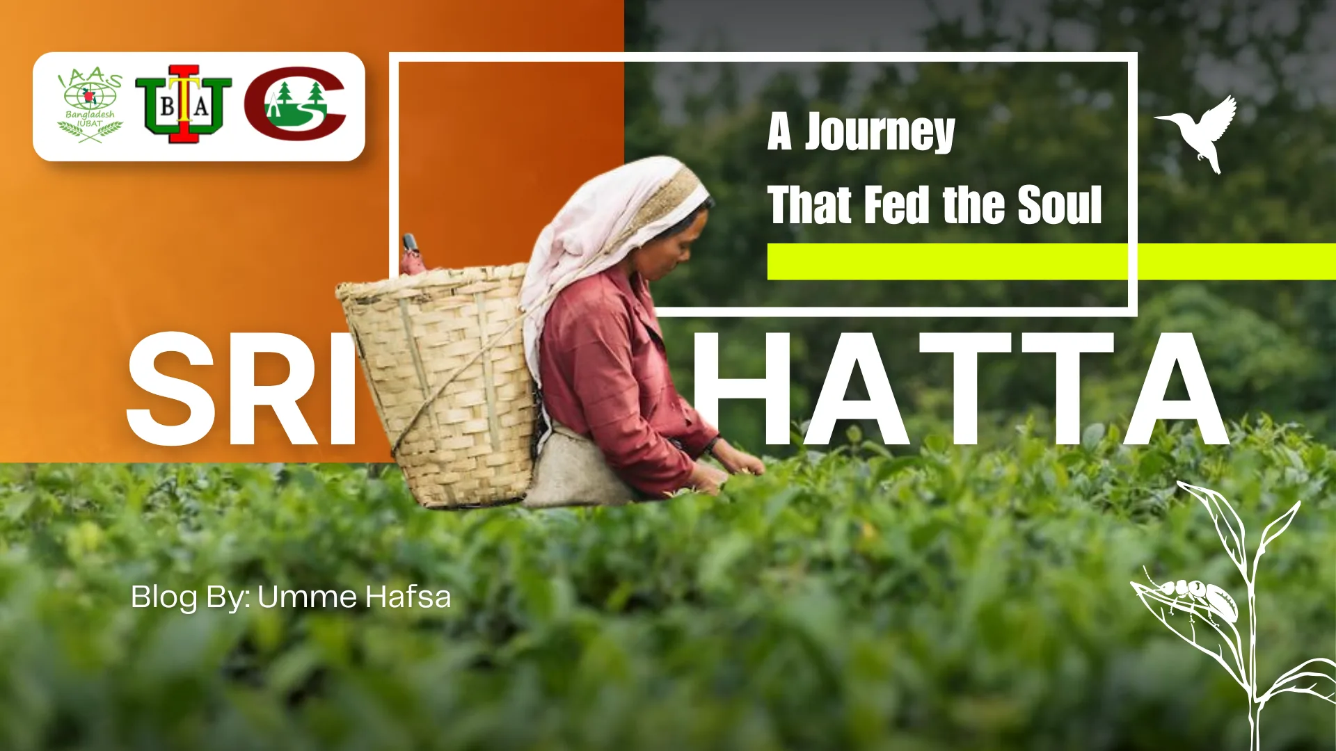 Srihatta: A Journey That Fed the Soul