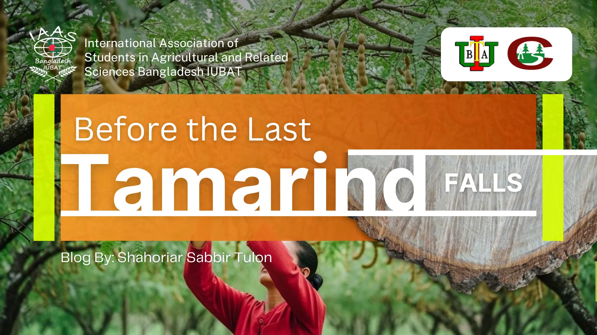 Before the Last Tamarind Falls