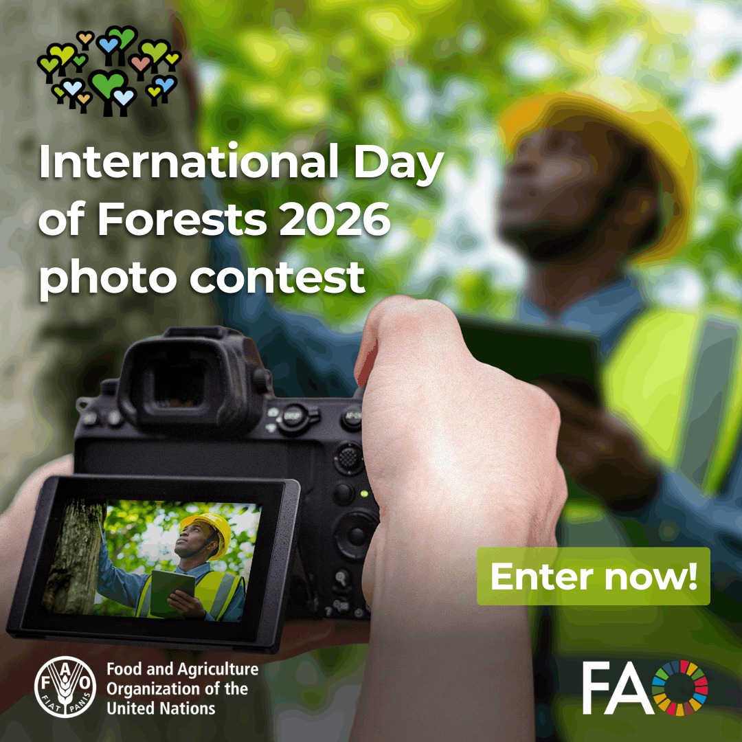 International Day of Forests 2026 photo contest