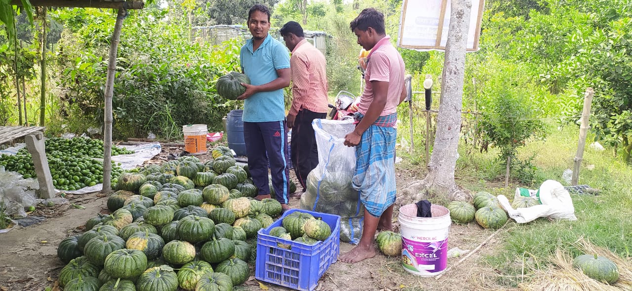 Dream Agro Farm & Nursery